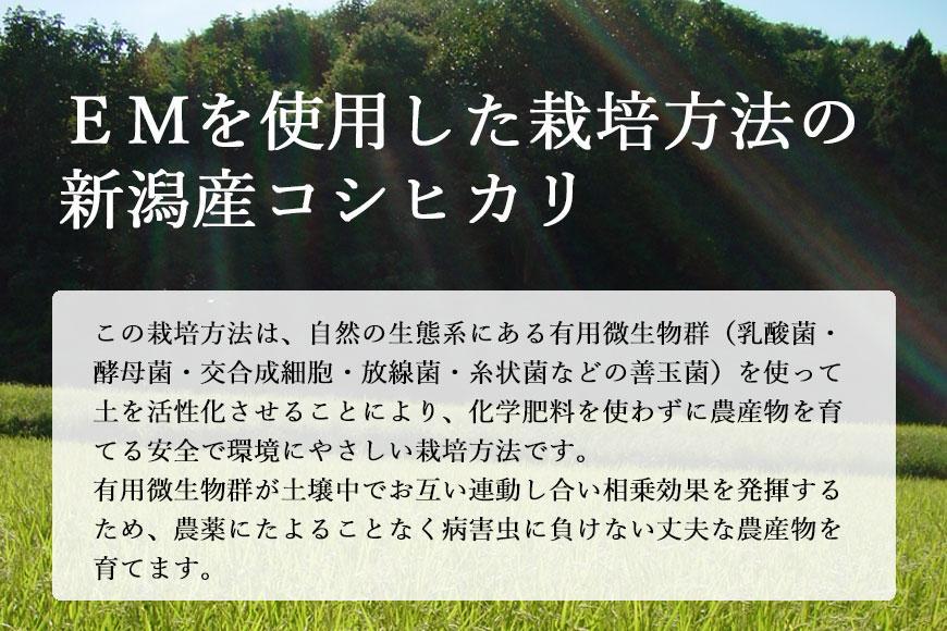 新潟産コシヒカリ 有機栽培米5kg 令和5年産 有機JAS認証 