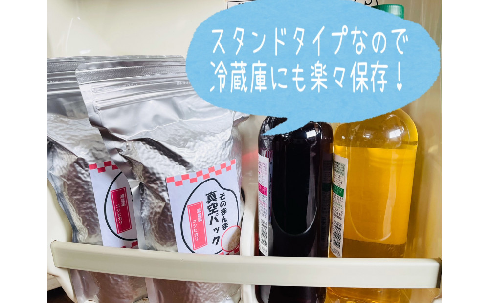 【令和8年産新米 定期便・先行予約】新潟県産こしひかり 無洗米 真空パック 900g×6袋　全3回