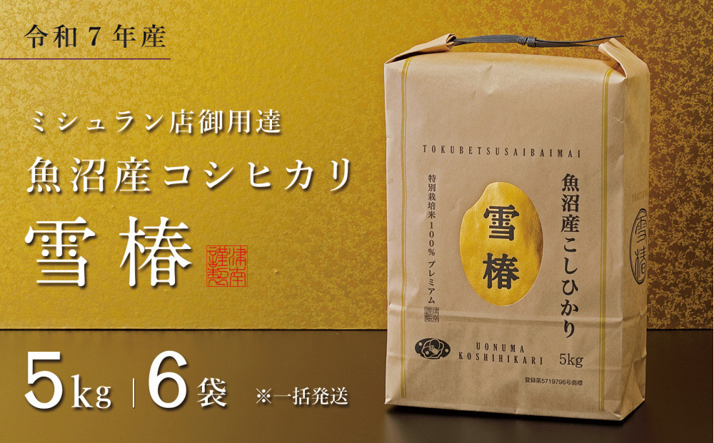 【令和7年産】魚沼産コシヒカリ 雪椿 30kg (5kg×6袋) 特別栽培米　※一括発送