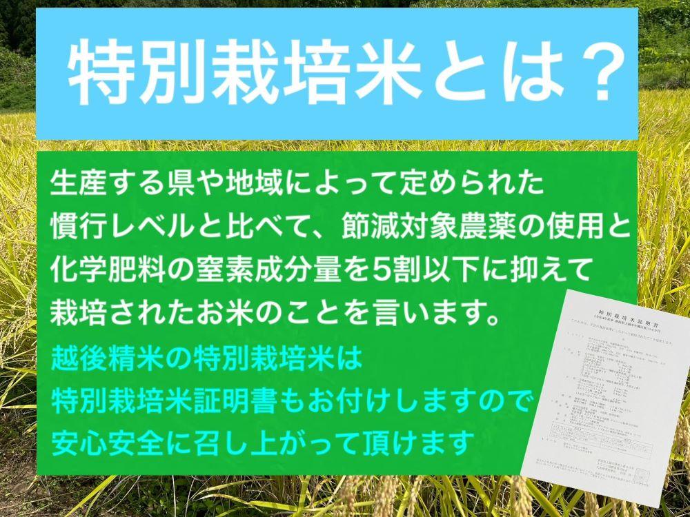 【令和6年度産新米】新潟県減農薬特別栽培米 そのまんま真空パック  900ｇ×12袋セット