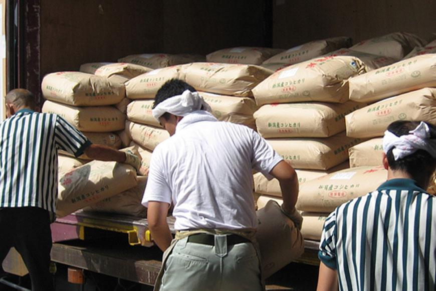 有機栽培米 新潟産コシヒカリ 5kg 有機JAS認証 令和7年産 精米 白米