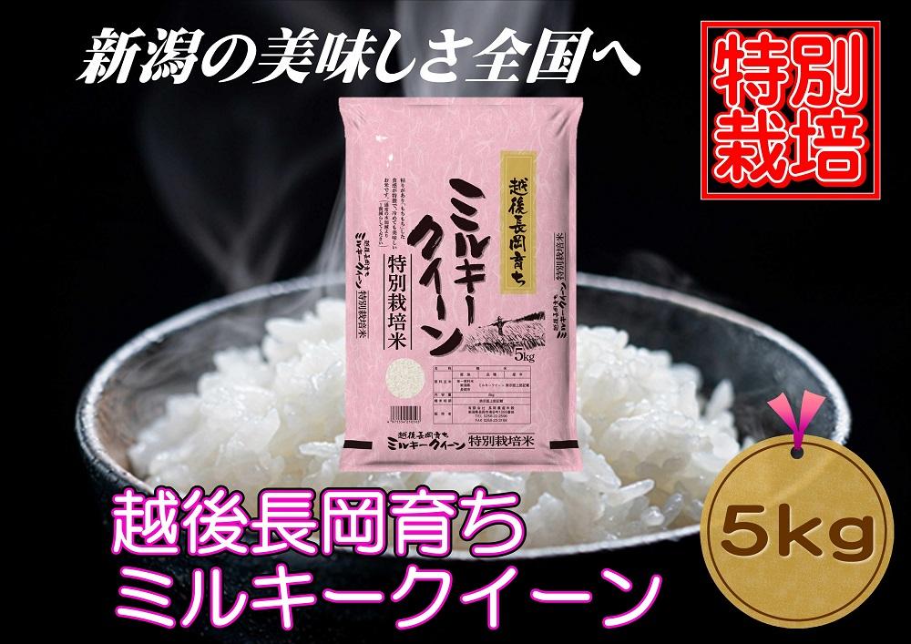 【特別栽培米】新潟県産ミルキークイーン　5kg（越後長岡育ち）