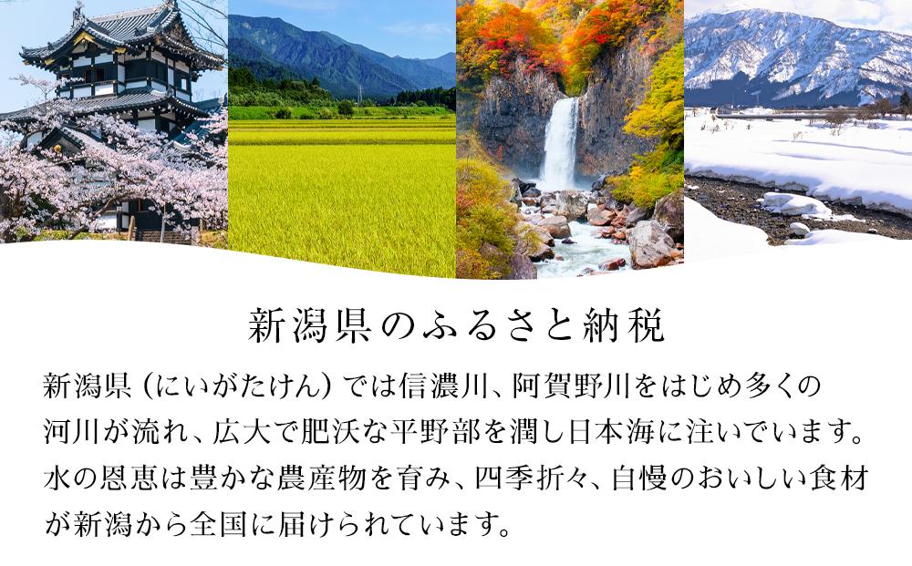 新潟県産シャインマスカット【２～３房】（２～３房合計１ｋｇ以上）