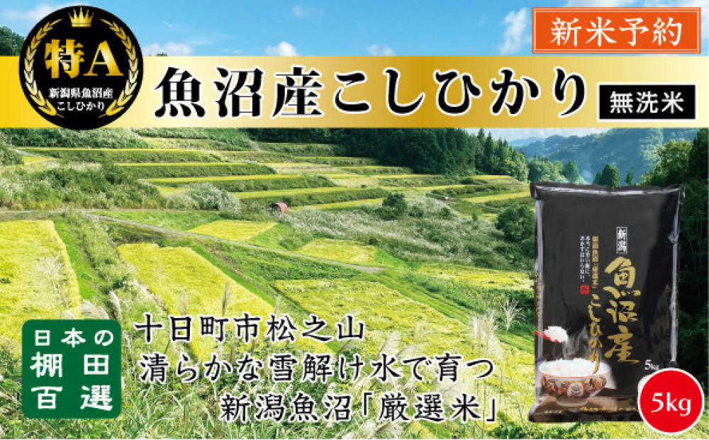【無洗米】【令和７年産新米予約】【食味鑑定士厳選】　日本の棚田百選　新潟県十日町（魚沼）産　コシヒカリ５kg(5kg×1)