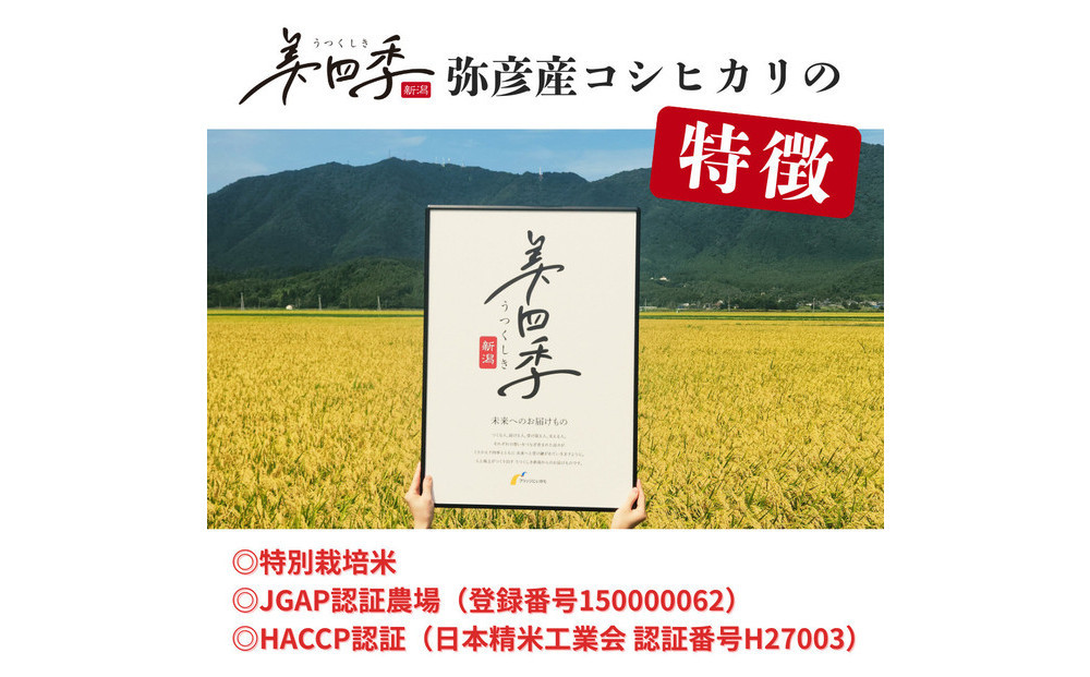 莉、蜥7蟷エ逕」縲譁ー貎溽恁蠑・蠖ヲ逕」繧ウ繧キ繝偵き繝ェ縲鄒主屁蟄」10kg(5kgテ2陲)縲逧螳、迪ョ荳顔アウ霎イ螳カ逕溽肇縲迚ケ蛻・譬ス蝓ケ邀ウ