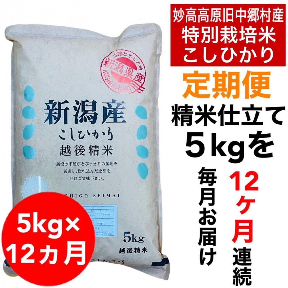 【12か月定期便】】新潟県旧中郷村減農薬特別栽培米コシヒカリ 5kg（5kg×1袋）