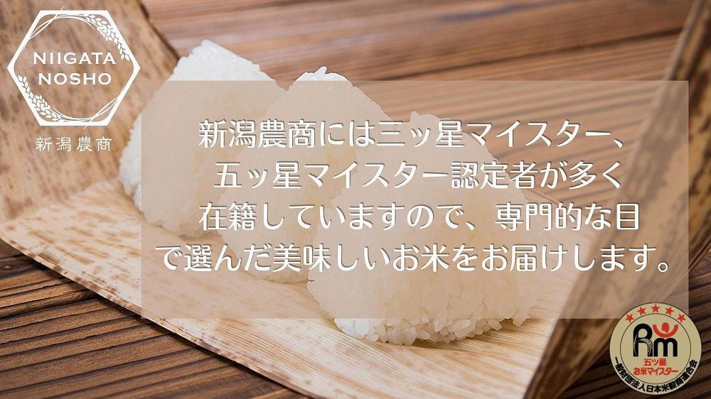 新潟県産虹の煌めき　5kg　