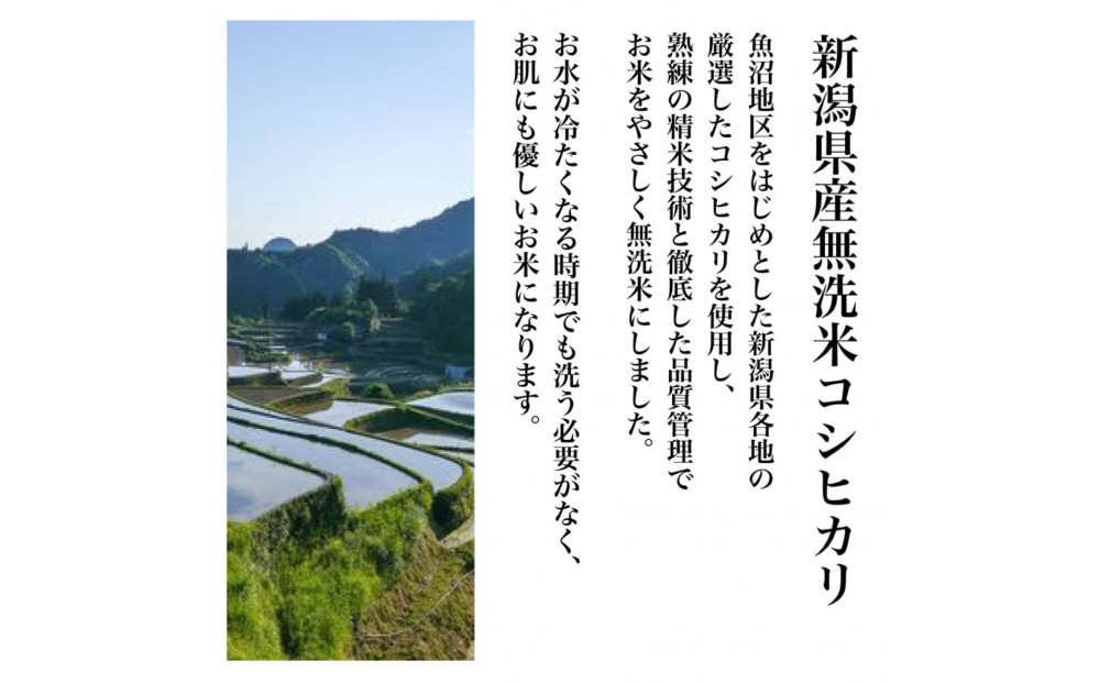 【令和8年産新米 定期便・先行予約】新潟県産こしひかり 無洗米 真空パック 900g×6袋　全6回