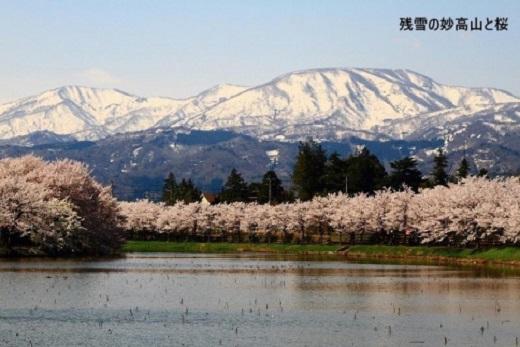 【新潟県】JTBふるさと旅行券（紙券）450,000円分