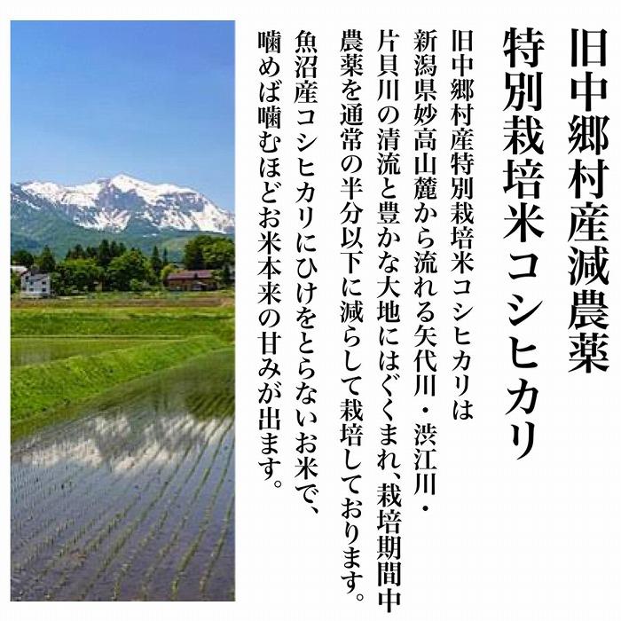 【12か月定期便】新潟県旧中郷村減農薬特別栽培米コシヒカリ 10kg（5kg×2袋）