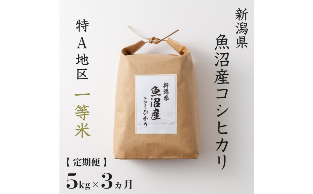 【 定期便 】 5kg × 3ヶ月 特A 一等米 魚沼産 コシヒカリ 令和7年産　新潟　新潟県　こしひかり　魚沼　特A地区　5キロ　頒布会
