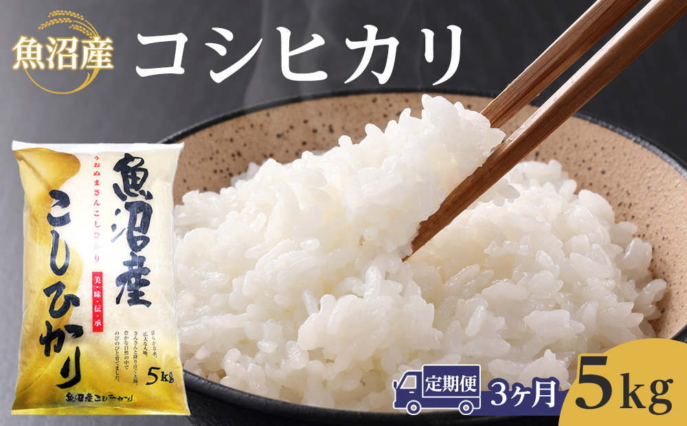 【3ヶ月定期便】魚沼産コシヒカリ　5kg 　2024年10月～発送開始｜新潟県　魚沼　こしひかり　令和6年産