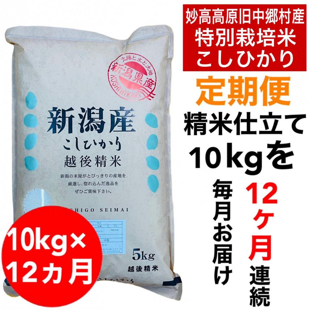 【12か月定期便】新潟県旧中郷村減農薬特別栽培米コシヒカリ 10kg（5kg×2袋）