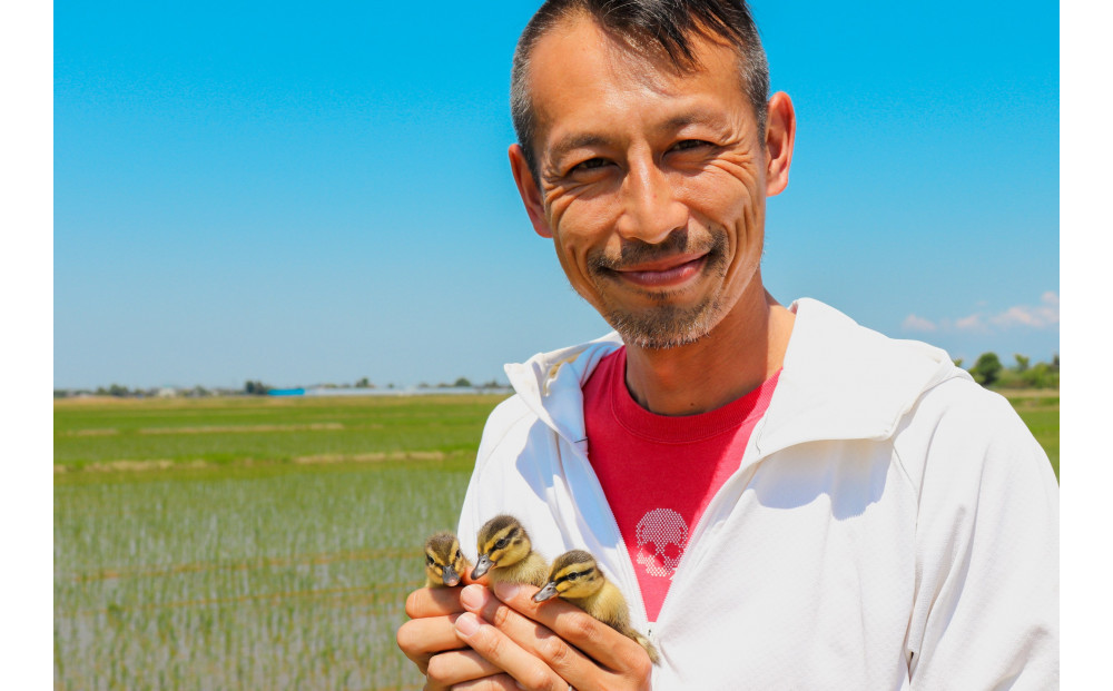 ã¢ãã«ã³èŸ²å®¶ãã ããã®é
ç±³ã䜿çšããæ¥æ¬é
720mlÃ2æ¬ã»ãã