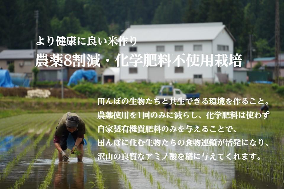 《 最高金賞受賞 》 南魚沼産コシヒカリ 雪と技 5kg　農薬8割減・化学肥料不使用栽培