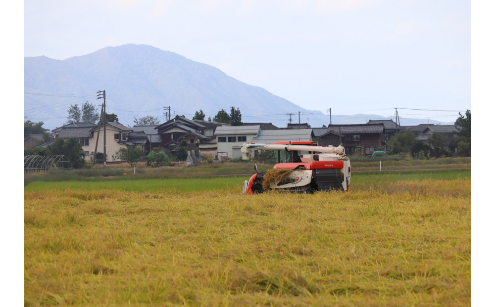 ã¢ãã«ã³èŸ²å®¶ãã ããã®é
ç±³ã䜿çšããæ¥æ¬é
720mlÃ2æ¬ã»ãã