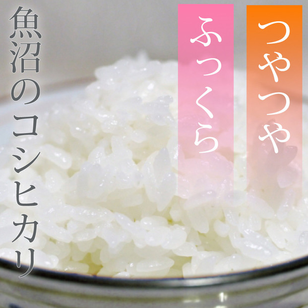 莉、蜥7蟷エ逕」 譁ー貎溽恁 鬲壽イシ逕」 辟。豢礼アウ 繧ウ繧キ繝偵き繝ェ600g(300gx2) 邊セ邀ウ 荳遲臥アウ 螟ゥ邉ァ