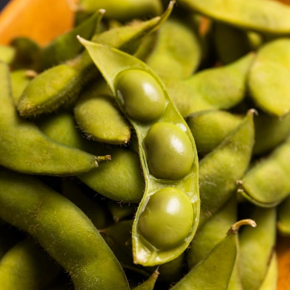 先行予約【新潟県産】くろさき茶豆　【１.５ｋｇ】　2026年8月～順次発送　新潟　新潟県　枝豆　えだまめ　茶豆　おつまみ　お取り寄せ　グルメ　1.5kg　豆