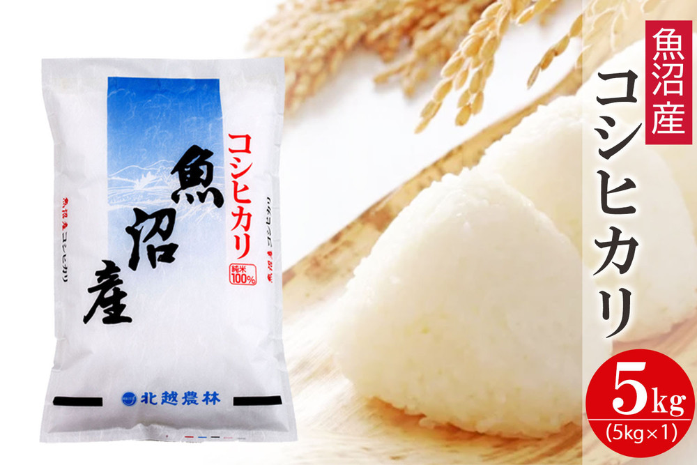 魚沼産コシヒカリ 5kg 令和7年産 精米 白米