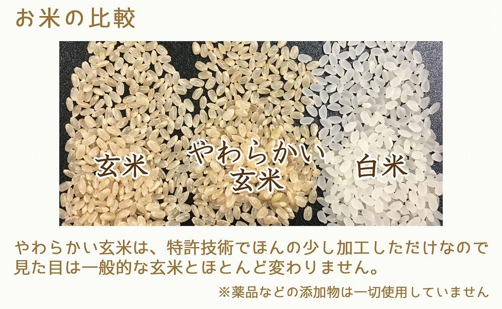 【定期便全12回】【栄養機能食品】白米と同じように炊けるやわらかい玄米 新潟県産コシヒカリ 900g×4袋