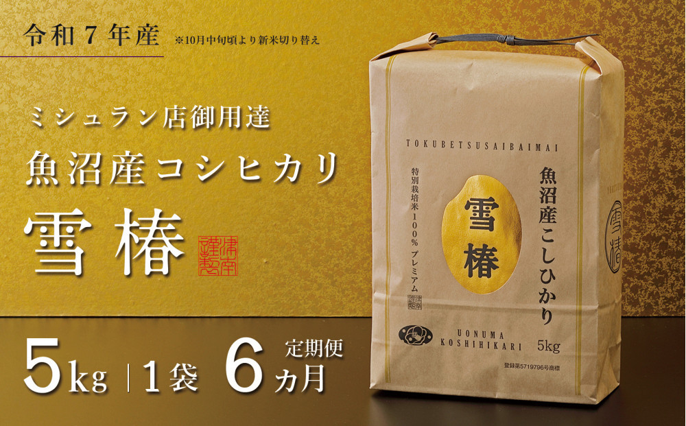 【定期便 6ヶ月】【令和7年産】魚沼産コシヒカリ 雪椿 5kg(5kg×1袋) × 6回 特別栽培米