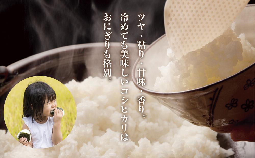 DH02 「無洗米」 新潟県 魚沼産 コシヒカリ お米 5kg こしひかり 精米 米（お米の美味しい炊き方ガイド付き）