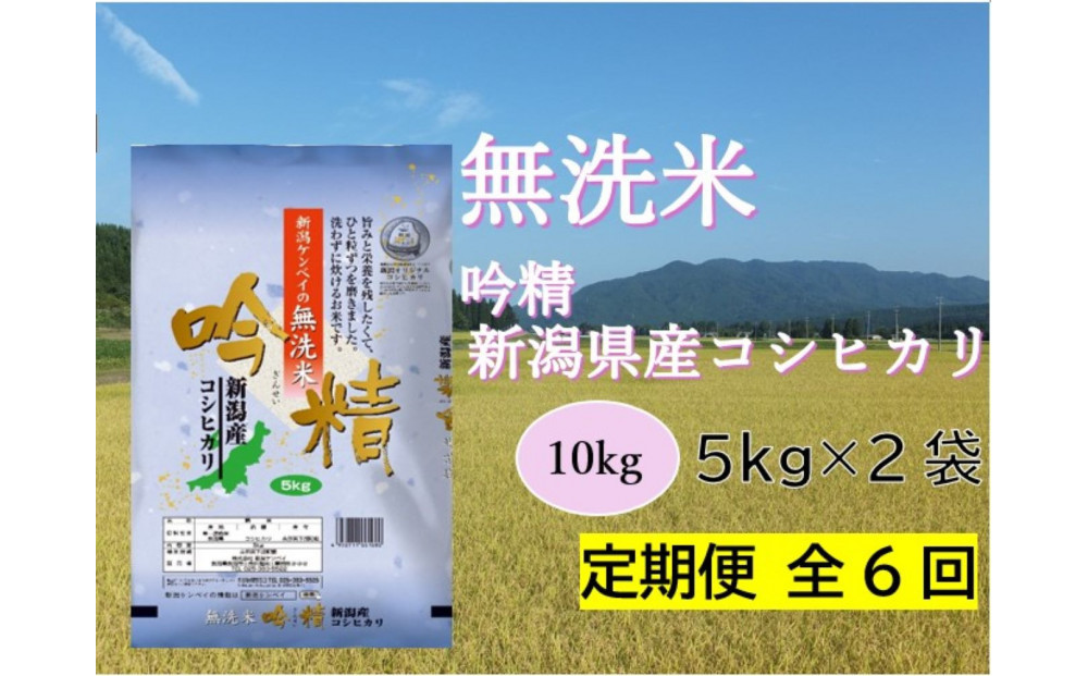 縲仙ョ壽悄萓ソシ壼ィ6蝗槭♀螻翫¢縲代千┌豢礼アウ蜷溽イセ縲代譁ー貎溽恁逕」繧ウ繧キ繝偵き繝ェ10Kgシ5kgテ2シ