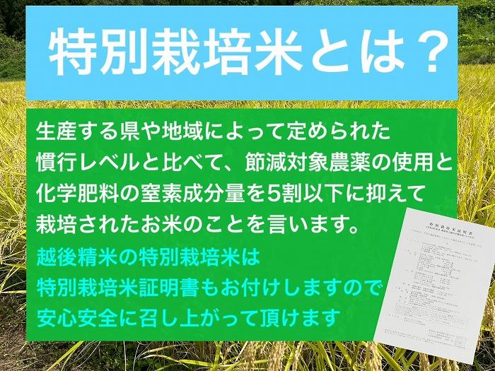 【12か月定期便】】新潟県旧中郷村減農薬特別栽培米コシヒカリ 5kg（5kg×1袋）