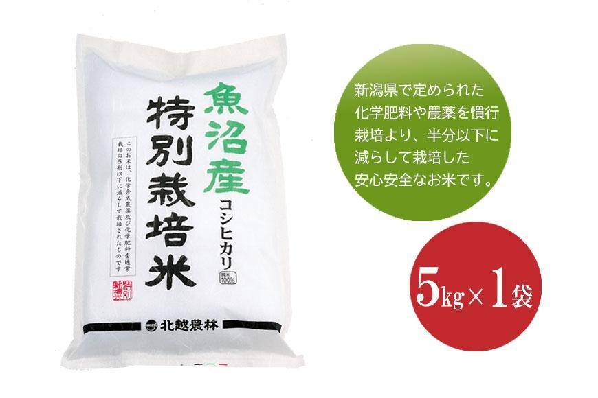 魚沼産コシヒカリ 特別栽培米5kg 新潟県認証米 令和5年産