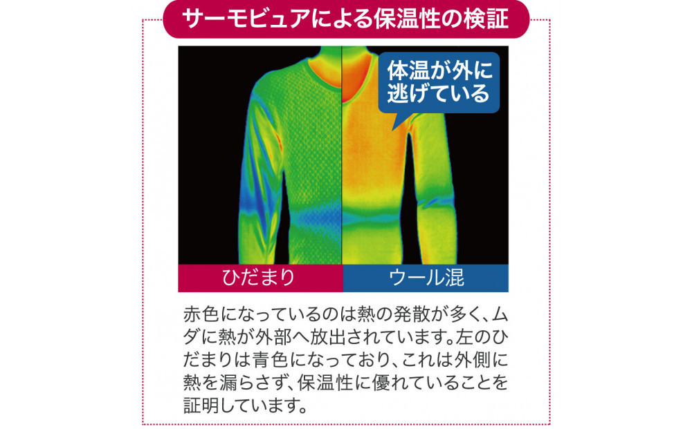 【ひだまり チョモランマ】　婦人長袖丸首インナー【LLサイズ】