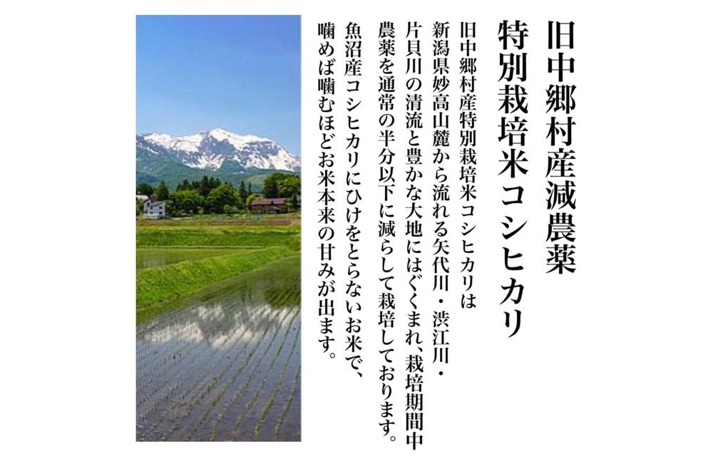 【令和6年産新米・定期便先行予約】新潟県減農薬特別栽培米 そのまんま真空パック  毎月900ｇ×6袋（全12回）