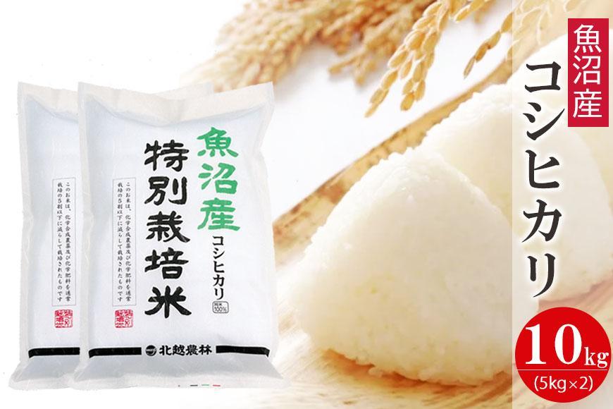 魚沼産コシヒカリ 特別栽培米10kg 新潟県認証米 令和5年産