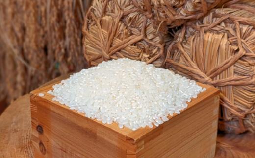 縲先ッ取怦螳壽悄萓ソ縲台サ、蜥鯉シ怜ケエ逕」縲御コ斐▽譏溘♀邀ウ繝槭う繧ケ繧ソ繝シ縲榊宍驕ク縲螟ゥ譌・蟷イ縺鈴ュ壽イシ逕」繧ウ繧キ繝偵き繝ェ縲邊セ邀ウシ斌gテ暦シ灘屓