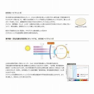 ドライアイ+ブルーライト　アイキュア HYDE　EC-608（ブラウン）