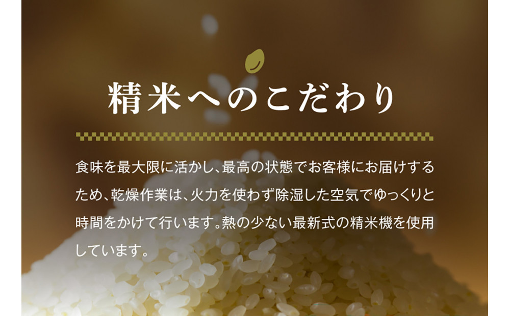 【令和7年産】魚沼産コシヒカリ 雪椿 2kg (2kg×1袋) 特別栽培米