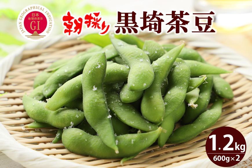 【先行予約】くろさき茶豆1.2kg  2026年8月発送 〈GI登録産品〉