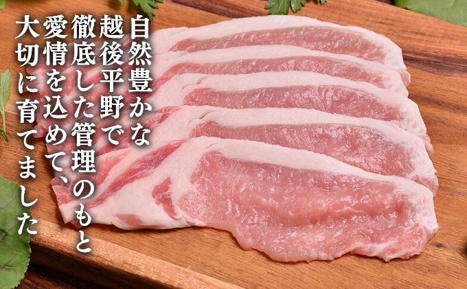 越後もちぶた(新潟県産 和豚もちぶた) ローススライス 1kg