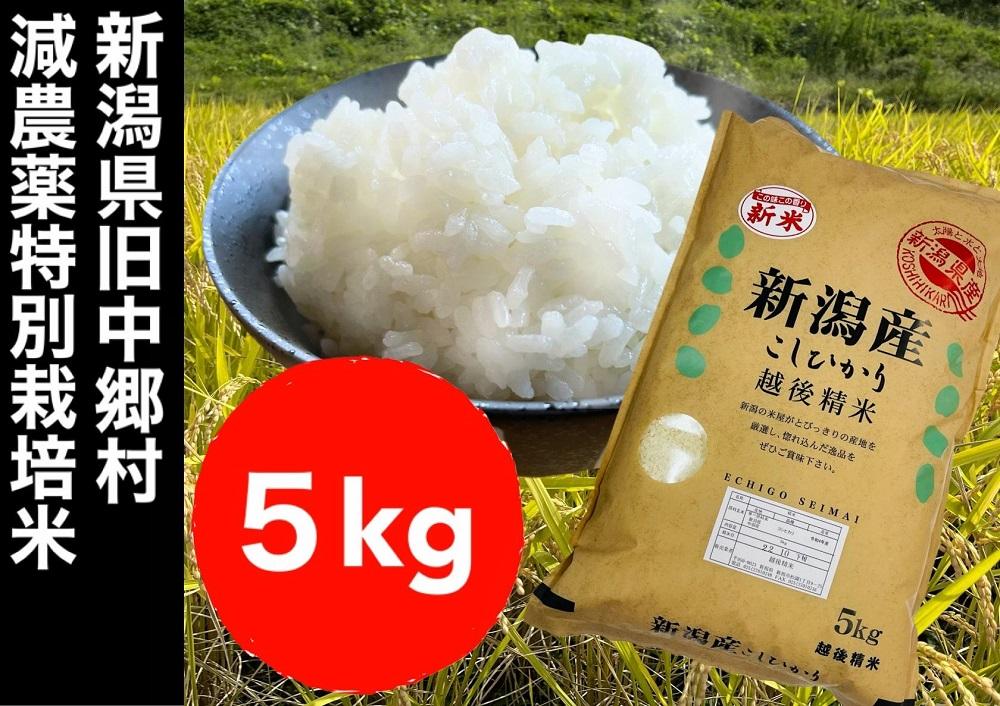 【令和6年度産新米】新潟県減農薬特別栽培米コシヒカリ 5kg