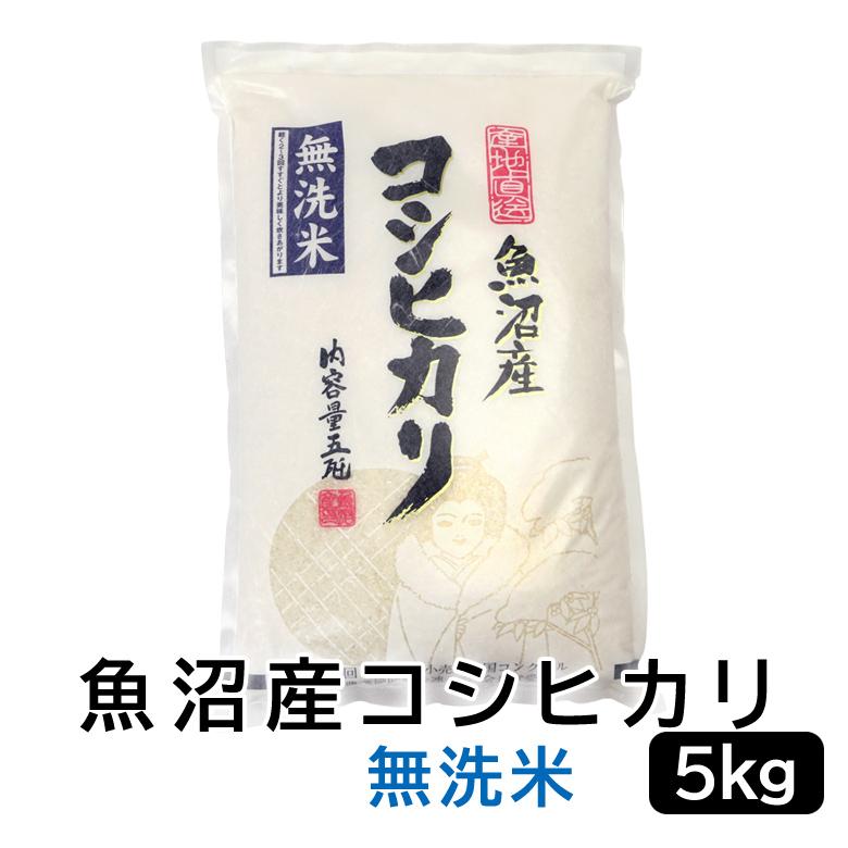 【令和6年産無洗米】お米マイスター厳選！魚沼産コシヒカリ５kg