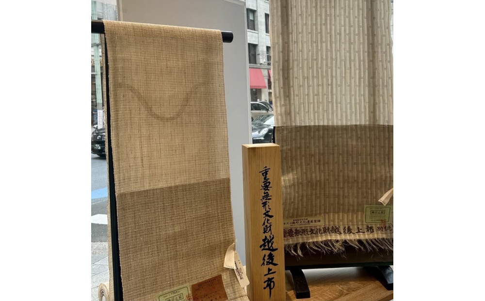 麻ç¹ç©ã®éªæããšä»ç«ãŠçŽã