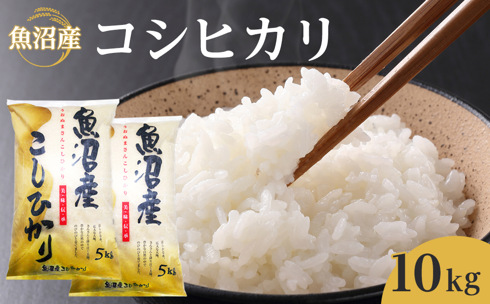 魚沼産コシヒカリ　10kg　2024年10月〜発送開始｜新潟県　魚沼　こしひかり　令和6年産