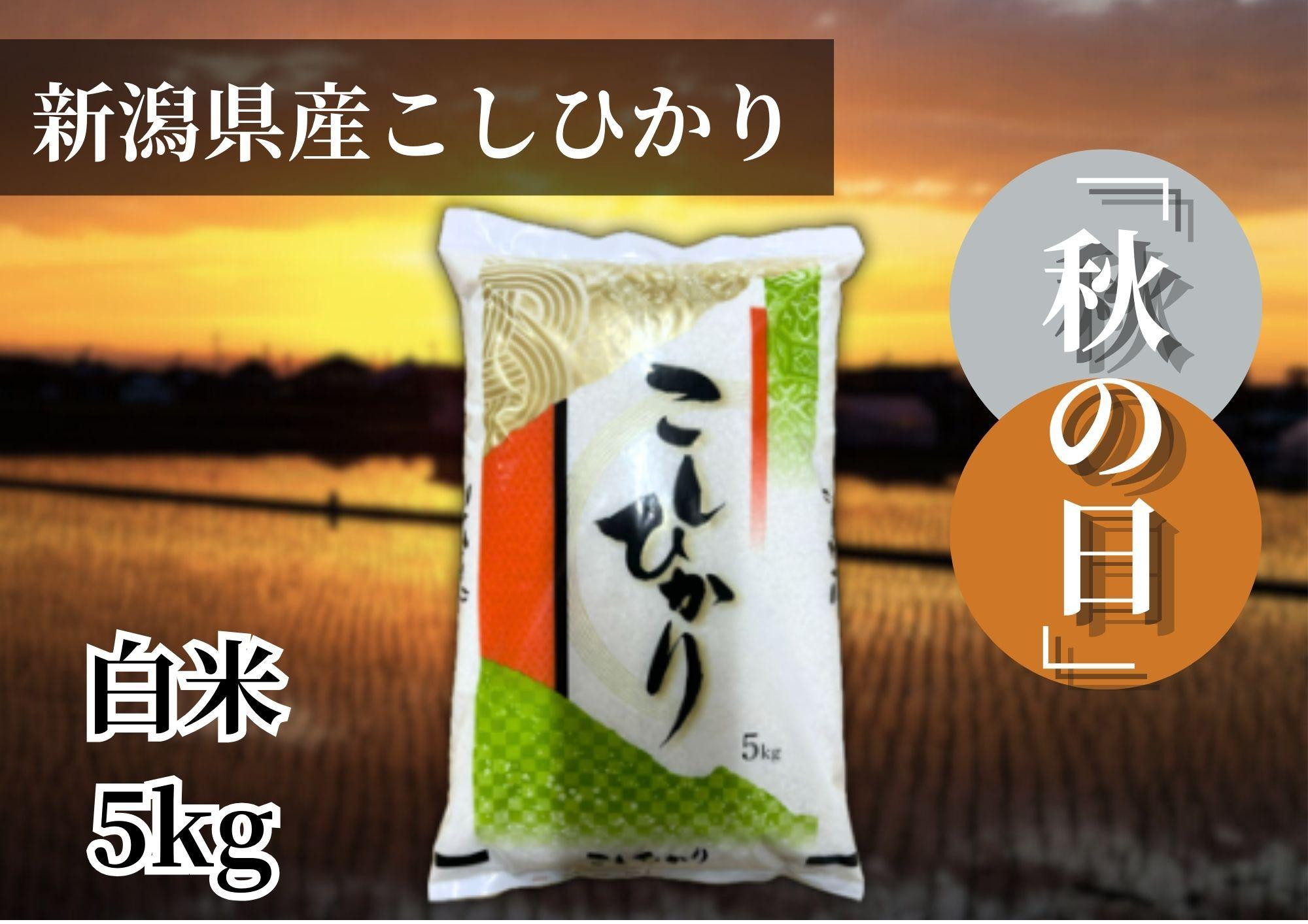 【令和7年産】新潟県産こしひかり「秋の日」（白米5kg）新潟県の美味しいお米。