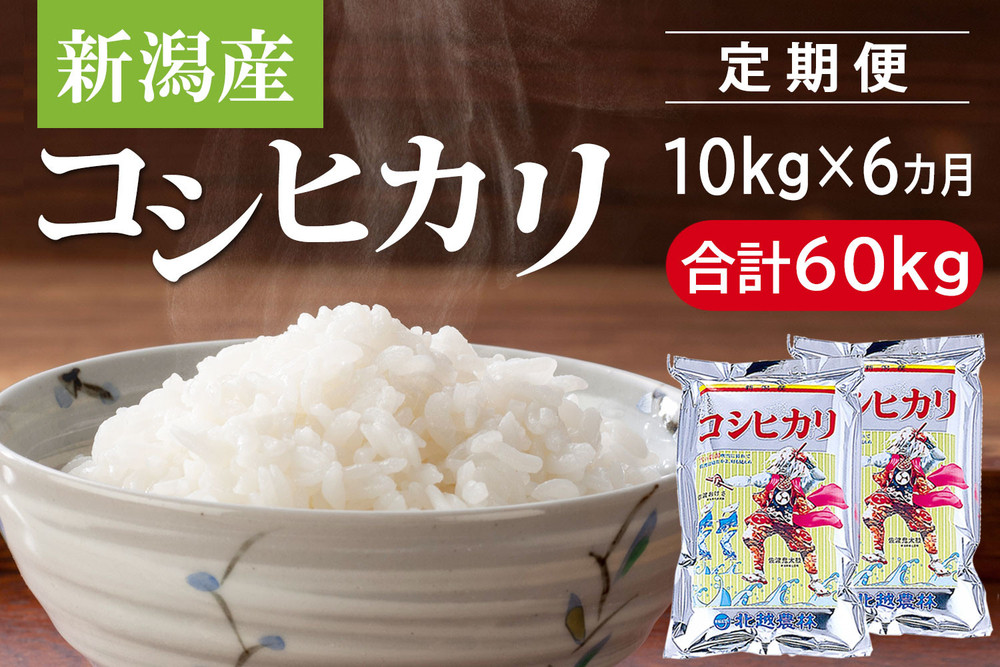 【定期便6カ月】 新潟産コシヒカリ 10kg×6回（計60kg）令和7年産
