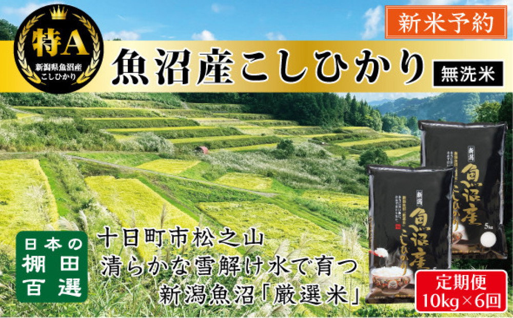 【無洗米】【令和７年産新米予約】【6か月定期便】10月発送開始《食味鑑定士厳選》日本棚田百選・十日町（魚沼）産こしひかり 10kg全6回