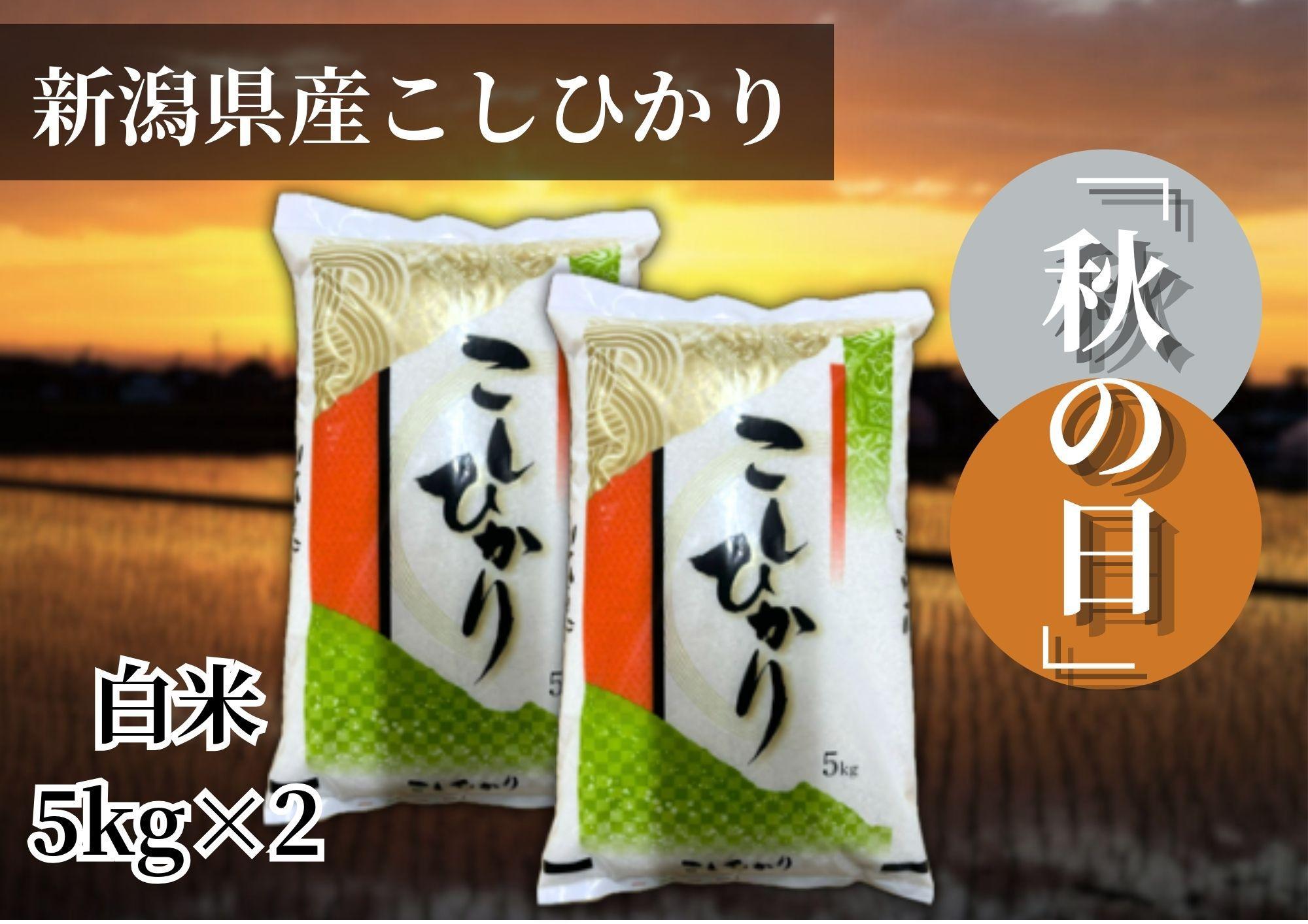 【令和7年産 】新潟県産こしひかり「秋の日」（白米10kg）【5kg×2袋】新潟県の美味しいお米。
