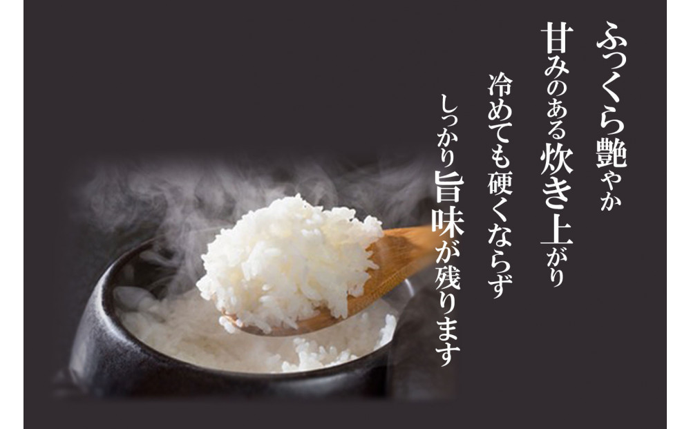 【令和7年産】 魚沼産コシヒカリ10kg  （5kg×2袋）新潟県産 ブランド米 精米 白米