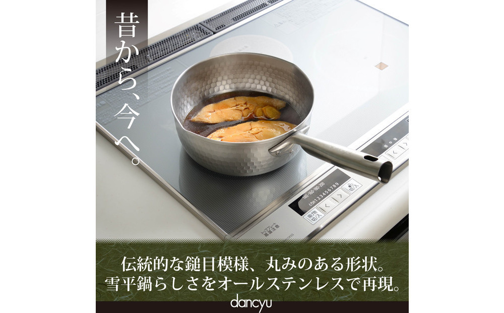 DA-46ãã³ãã¥ãŠã察å¿ã¹ãã³ã¬ã¹éªå¹³é3ç¹ã»ãã