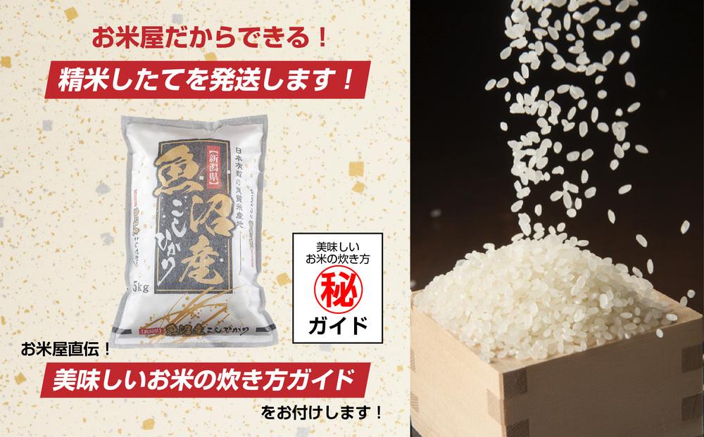 新潟県 魚沼産 コシヒカリ お米 5kg ＆ こしひかり パックごはん 5パックセット （お米の美味しい炊き方ガイド付き）