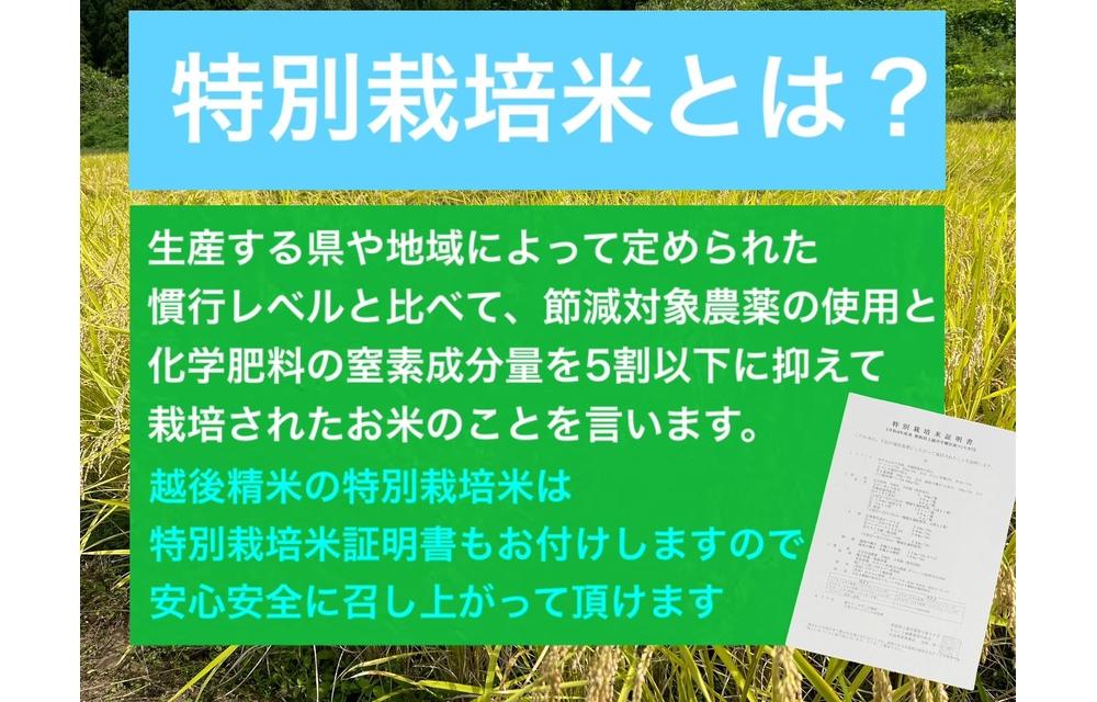 【令和6年産新米・定期便先行予約】新潟県旧中郷村減農薬特別栽培米コシヒカリ 10kg（5kg×2袋）全12回