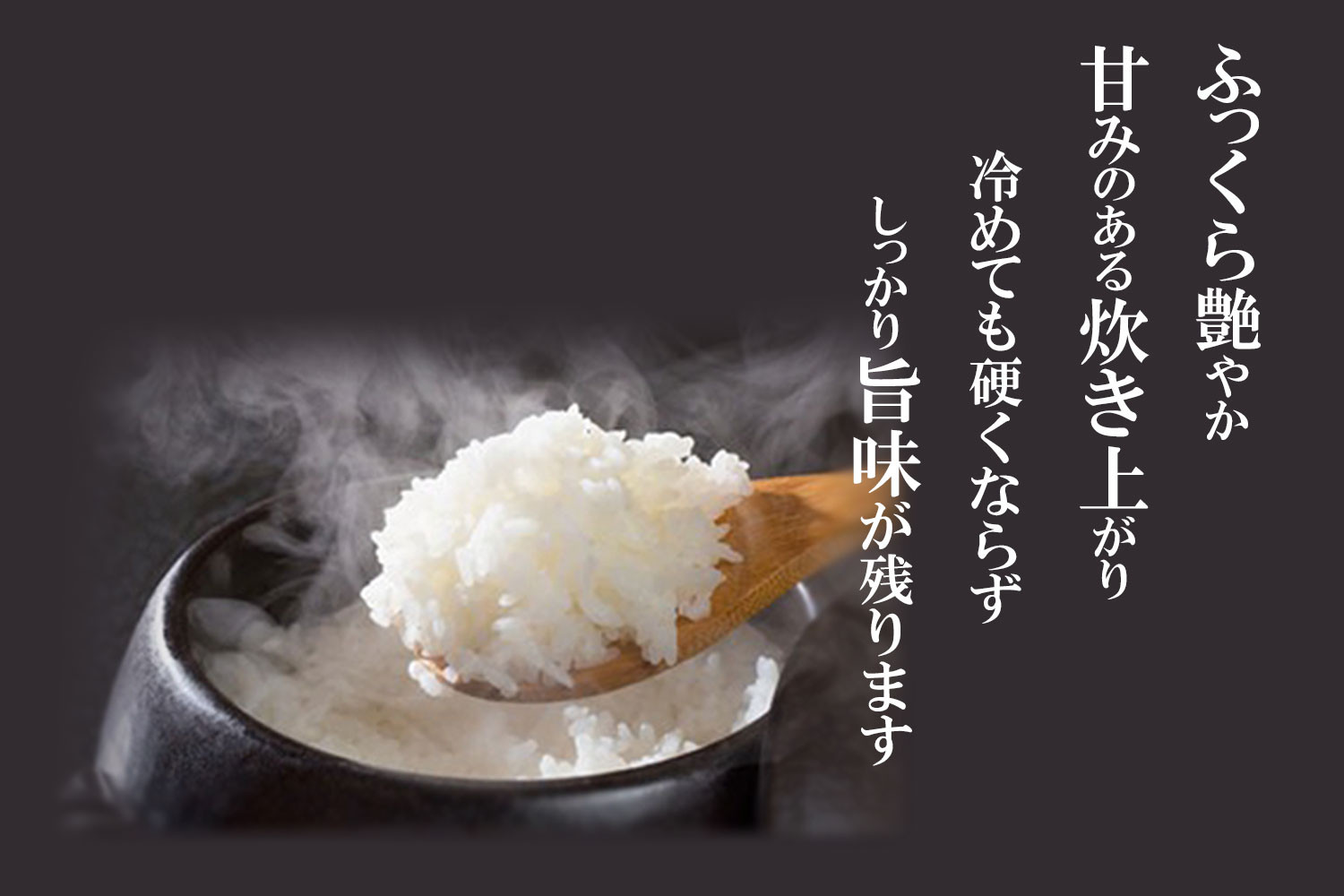 【令和7年産】新潟産コシヒカリ 10kg（5kg×2袋）白米 精米